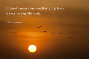 quote toon hermans